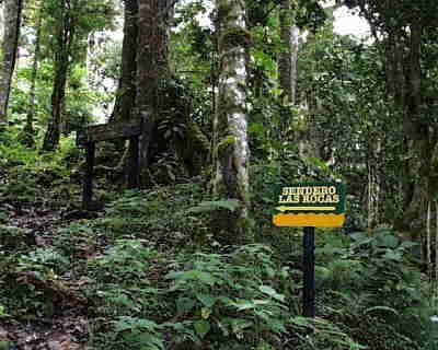 Volcan Baru National Park Sendero Los Quetzales